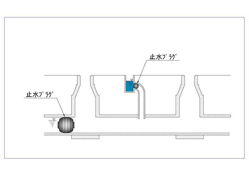 管更生（カメラ調査）