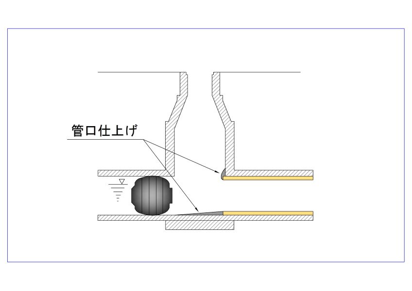 管更生（カメラ調査）